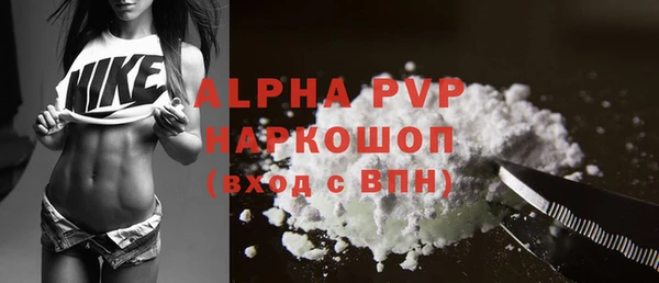 индика Абаза