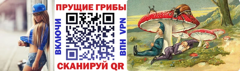 Псилоцибиновые грибы MAGIC MUSHROOMS  цены наркотик  Донецк 